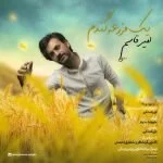 دانلود آهنگ امیر قاسم صدقی به نام یک مزرعه گندم